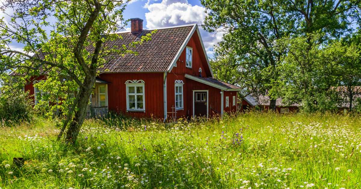 red house in overgrown field