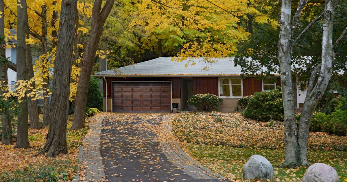 brown house in fall