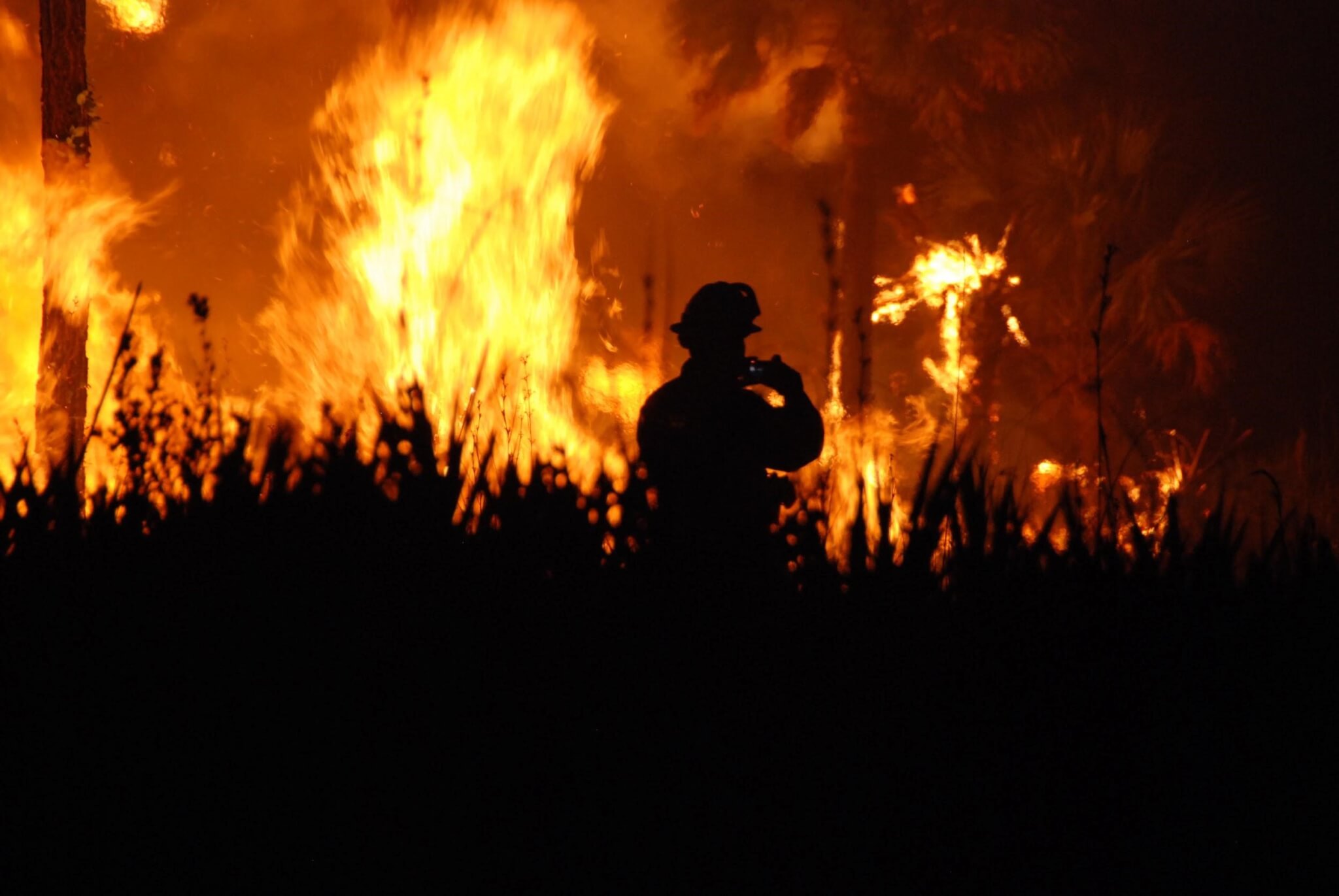 Wildfire burns your house