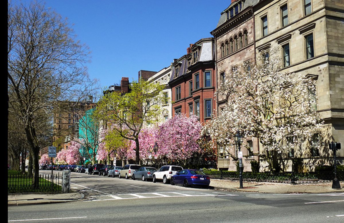 Row houses in Boston seen from across a street in spring.