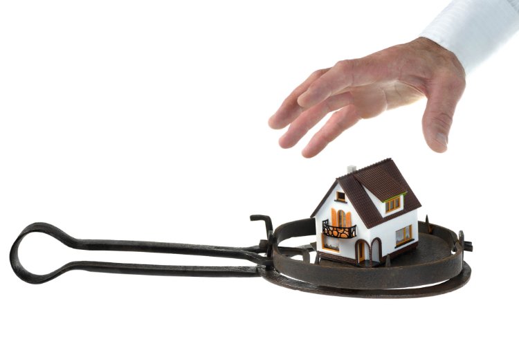hand reaching for toy house in trap